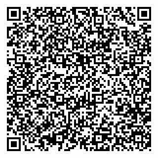 vCard 79393005329