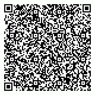 vCard 79393005334