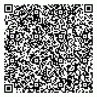vCard 79393005341