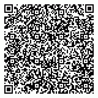 vCard 79393005363