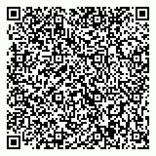 vCard 79393005377