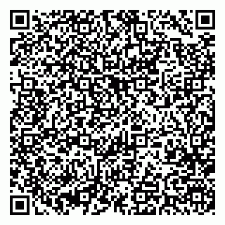vCard 79393005381