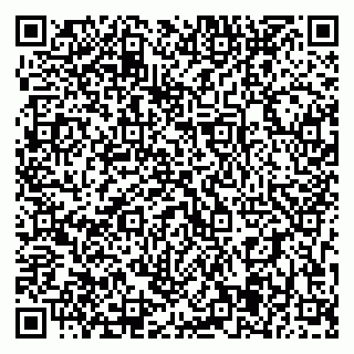 vCard 79393005384