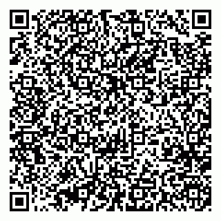 vCard 79393005385