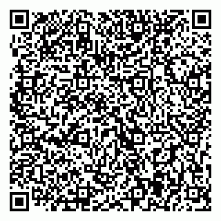 vCard 79393005402