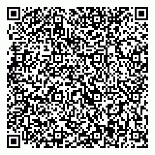 vCard 79393005441
