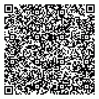 vCard 79393005521