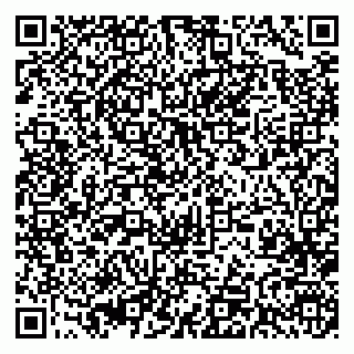 vCard 79393005539