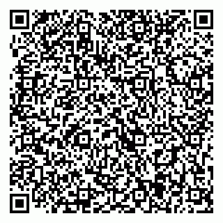 vCard 79393005703
