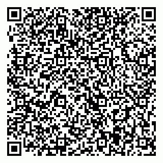 vCard 79393005711
