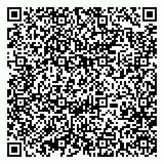 vCard 79393005853