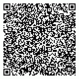 vCard 79393005873