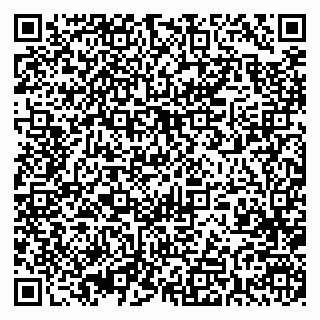 vCard 79393005903