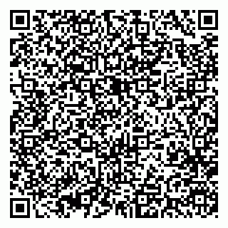 vCard 79393005921