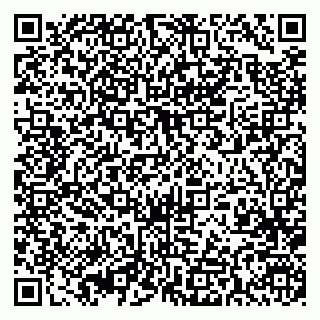 vCard 79393006507