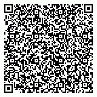 vCard 79393006525