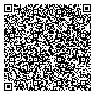 vCard 79393006527