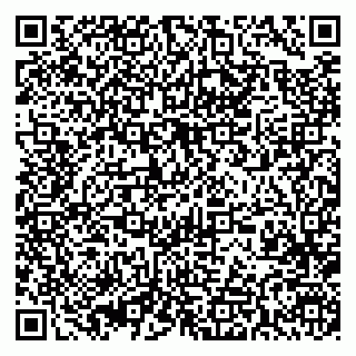 vCard 79393006533