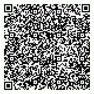 vCard 79393006541