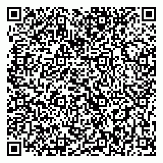vCard 79393006631
