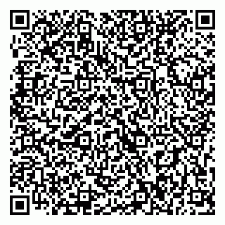vCard 79393006633