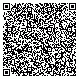 vCard 79393006701