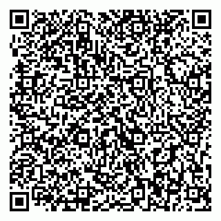 vCard 79393006729