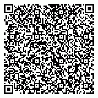 vCard 79393006732