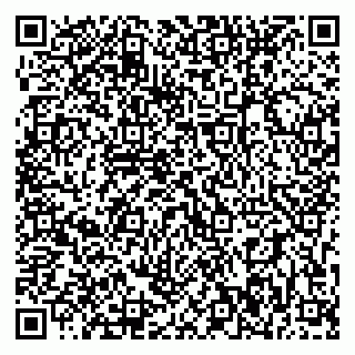 vCard 79393006803
