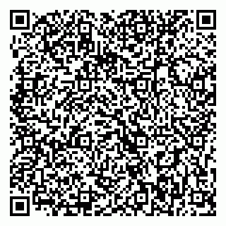 vCard 79393006849