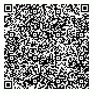 vCard 79393006861