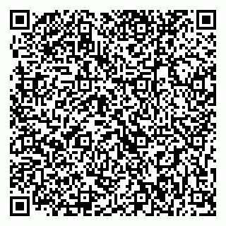 vCard 79393006863