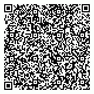 vCard 79393006870