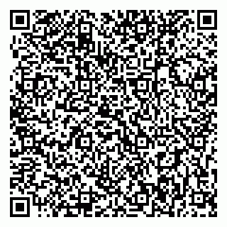 vCard 79393006871