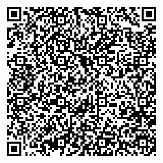 vCard 79393006879