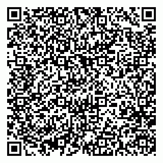 vCard 79393006987