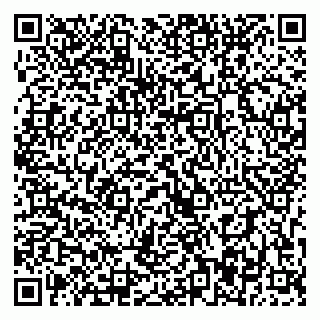 vCard 79393007139