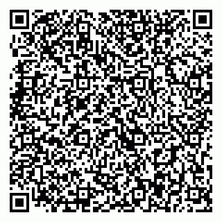 vCard 79393007331