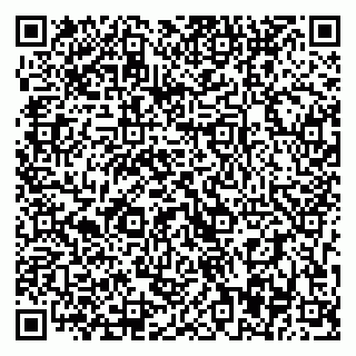 vCard 79393007528