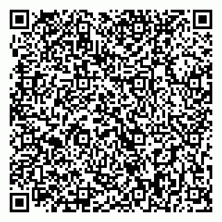vCard 79393008001