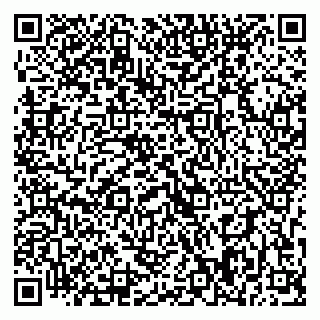 vCard 79393008013