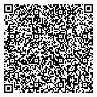 vCard 79393008019