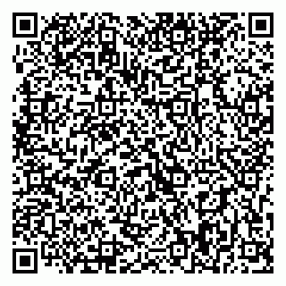 vCard 79393008021