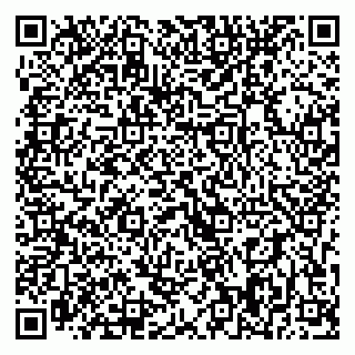 vCard 79393008041