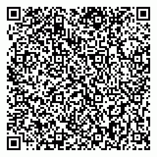 vCard 79393008200