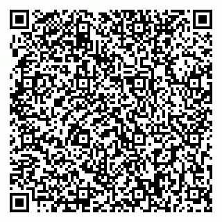 vCard 79393008207