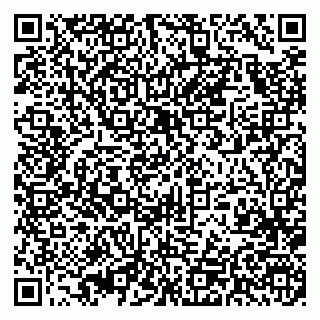 vCard 79393008209