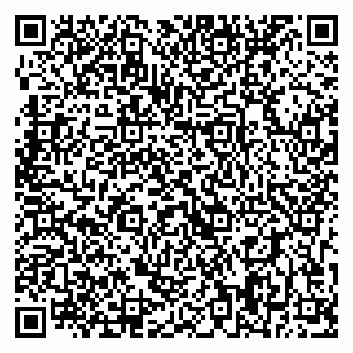 vCard 79393008249