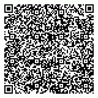 vCard 79393008399