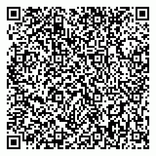 vCard 79393008401